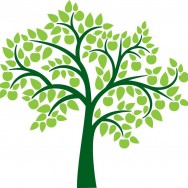 Genealogy 101 - Brown County Library
